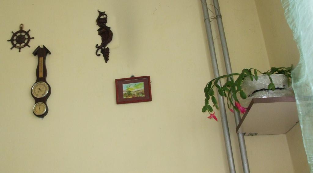 Kamigs Rooms Sofia Bilik gambar